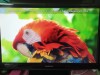 24 inch Samsung TV and TX3 Android Box